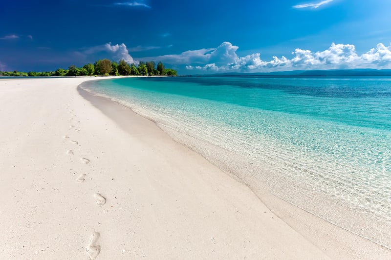 Tropical Beach Resort