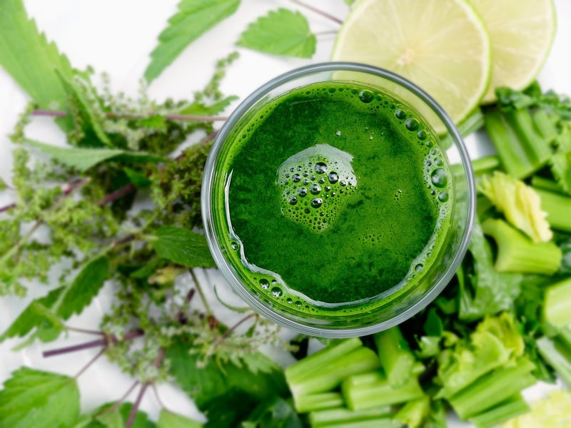 Plant-Based Cuisine